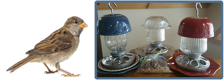 Chicky Bird Feeder